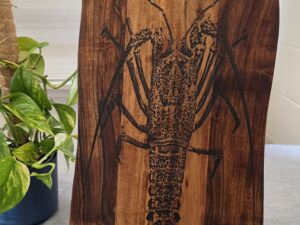 Acacia Crayfish